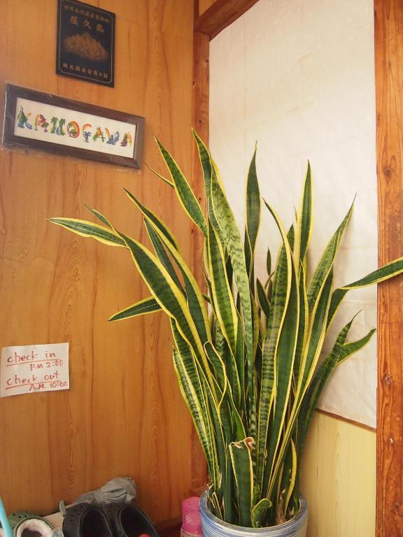 Hotel Tirol Yakushima  Habitación foto